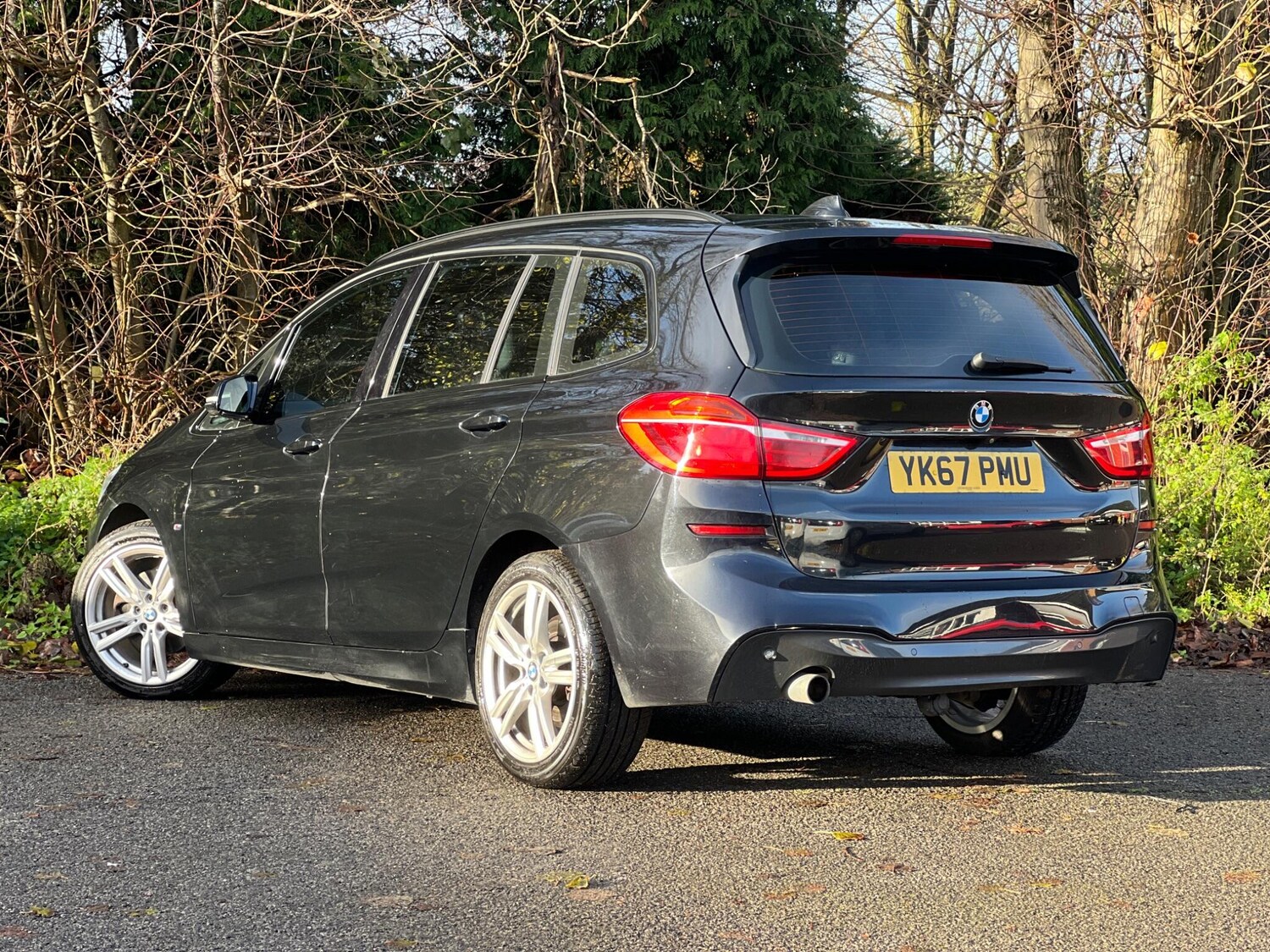 Used BMW 2 Series 2017 for sale - 78100513: Photo 13