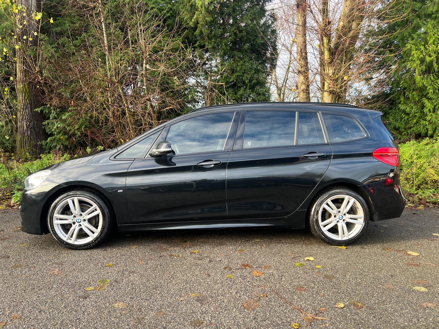 Used BMW 2 Series 2017 for sale - 78100513: Photo 16