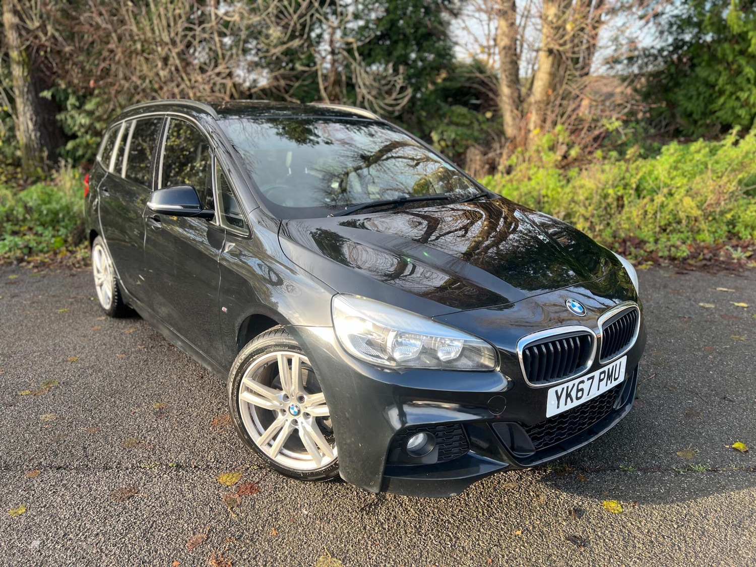 Used BMW 2 Series 2017 for sale - 78100513: Photo 2