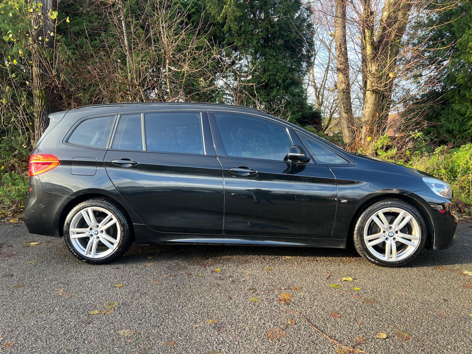 Used BMW 2 Series 2017 for sale - 78100513: Photo 21
