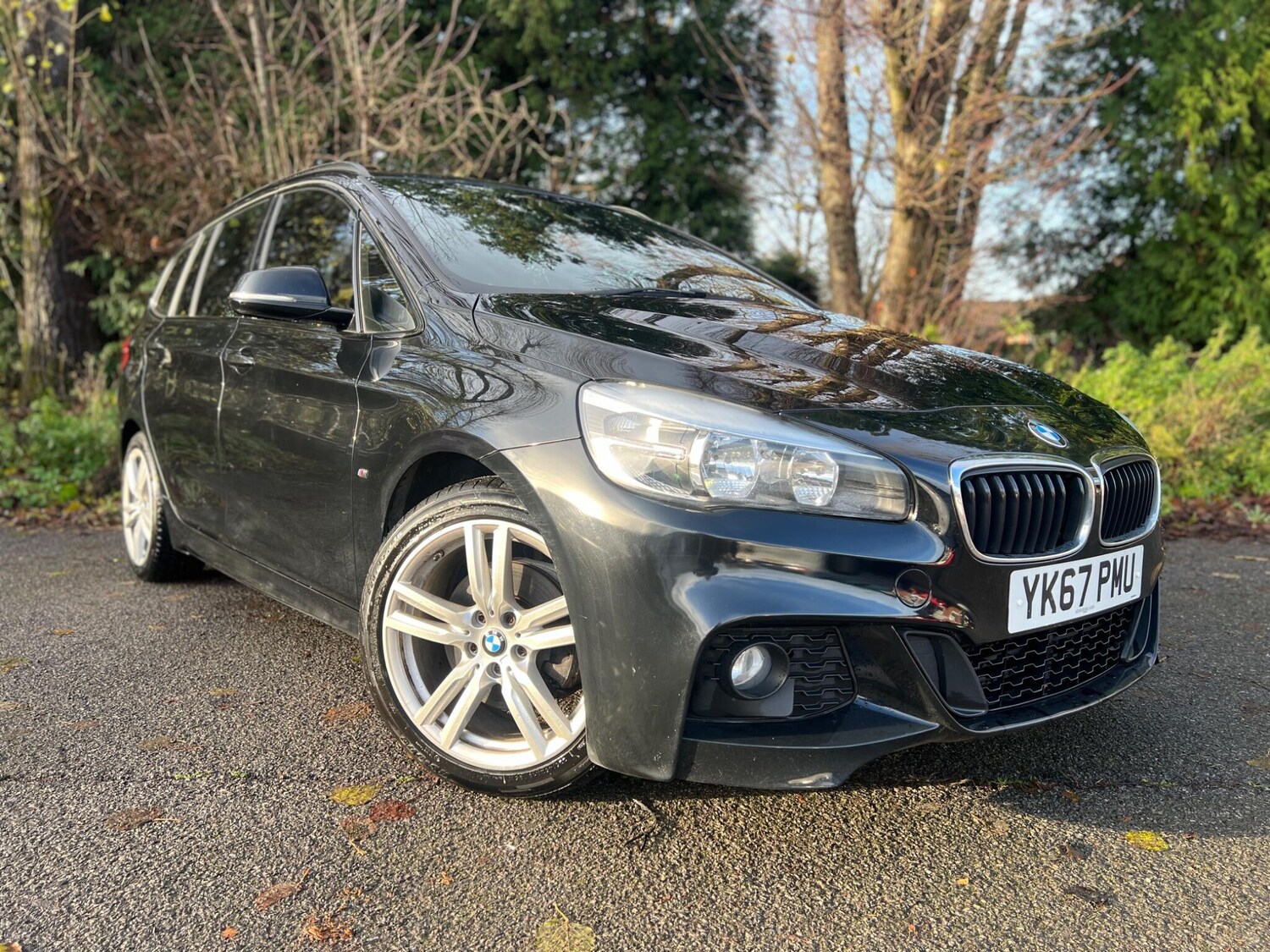 Used BMW 2 Series 2017 for sale - 78100513: Photo 6