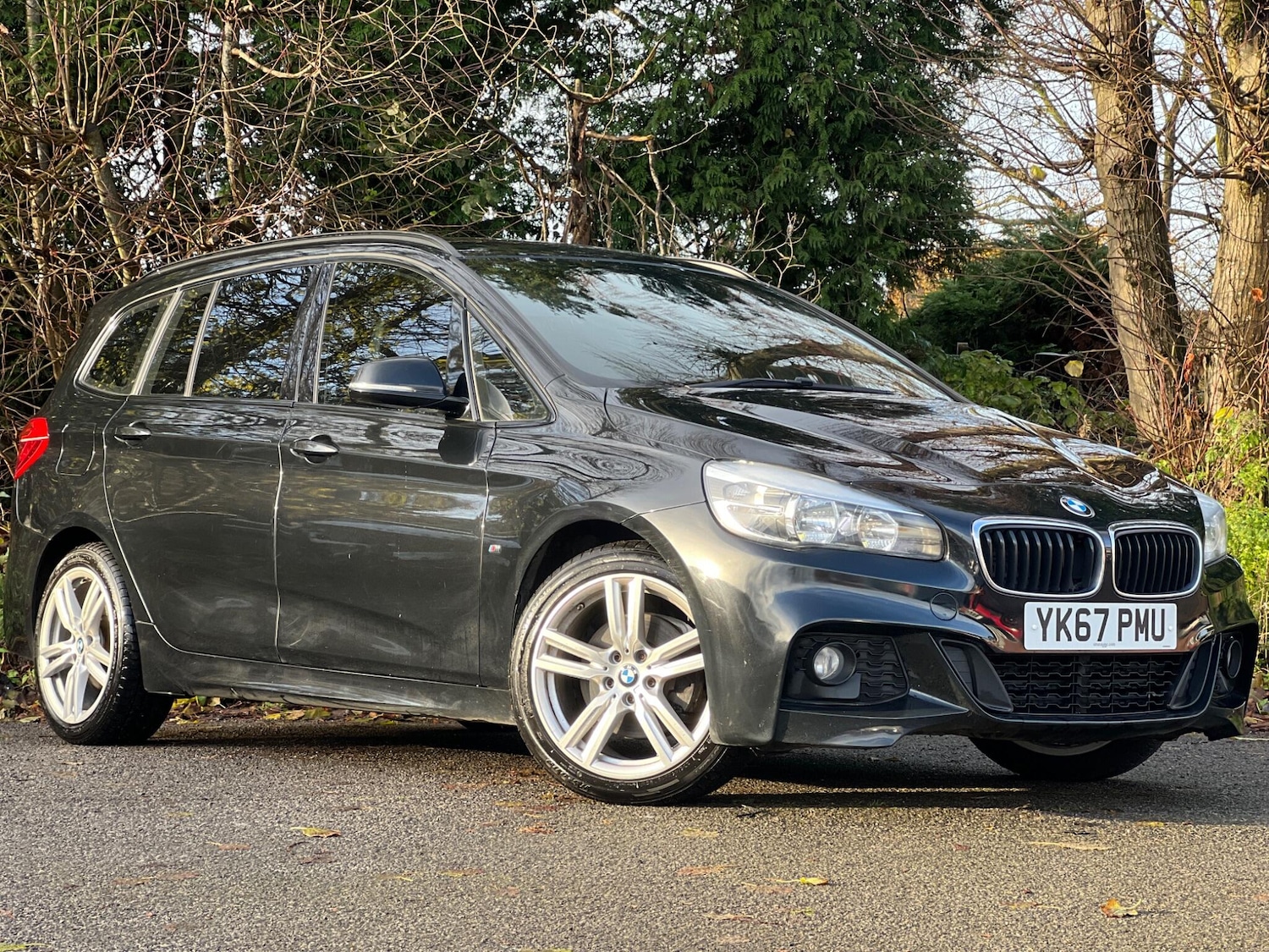 Used BMW 2 Series 2017 for sale - 78100513: Photo 7