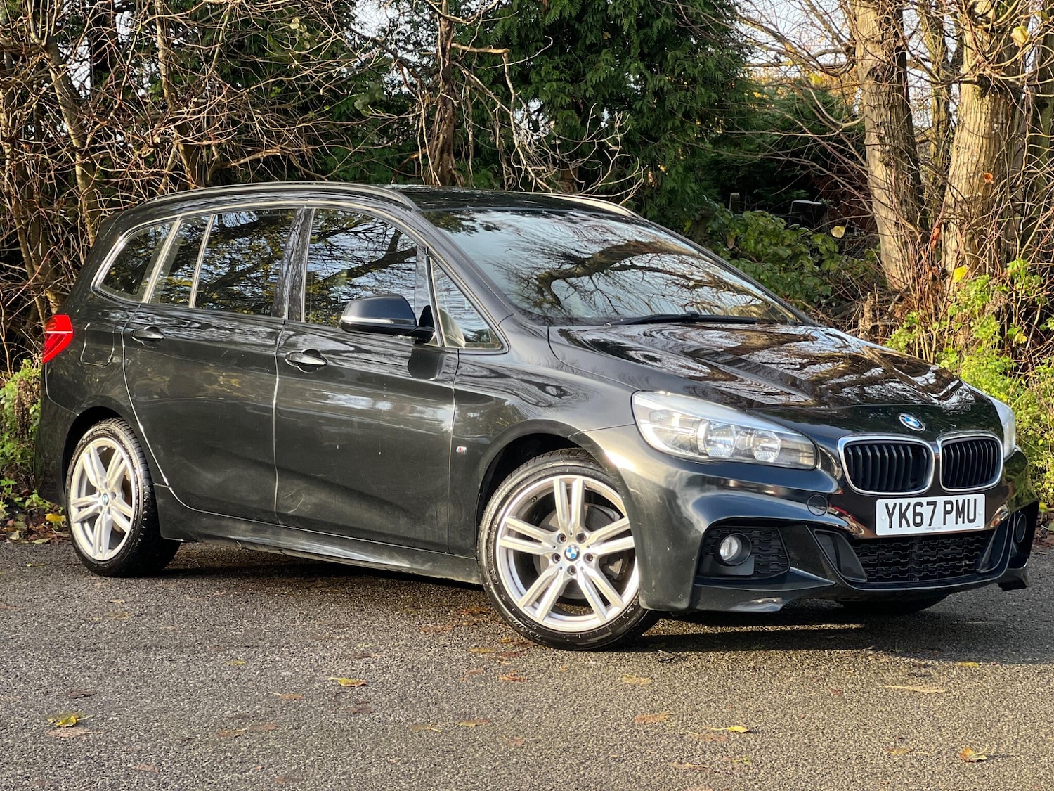 Used BMW 2 Series 2017 for sale - 78100513: Photo 8