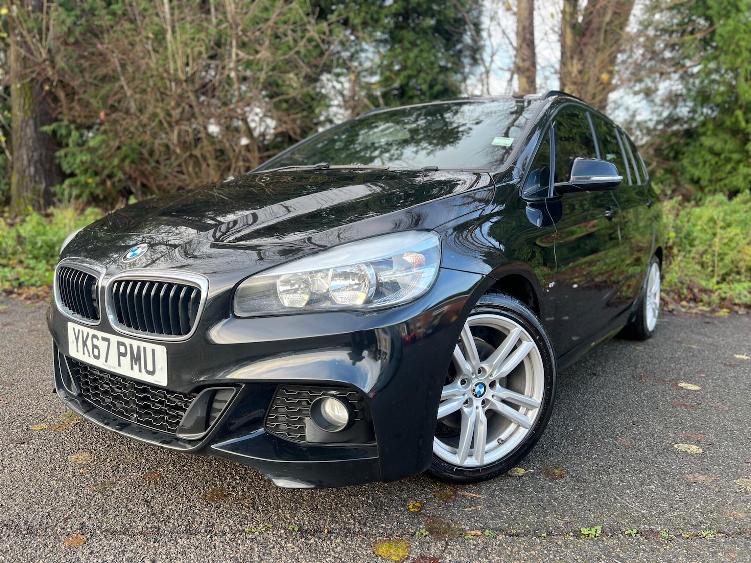 Used BMW 2 Series 2017 for sale - 78100513: Photo 9