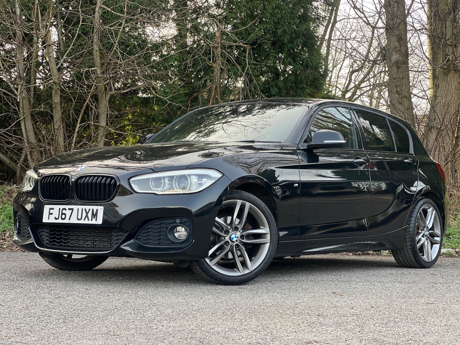 Used BMW 1 Series for sale - 77784328: Photo 11