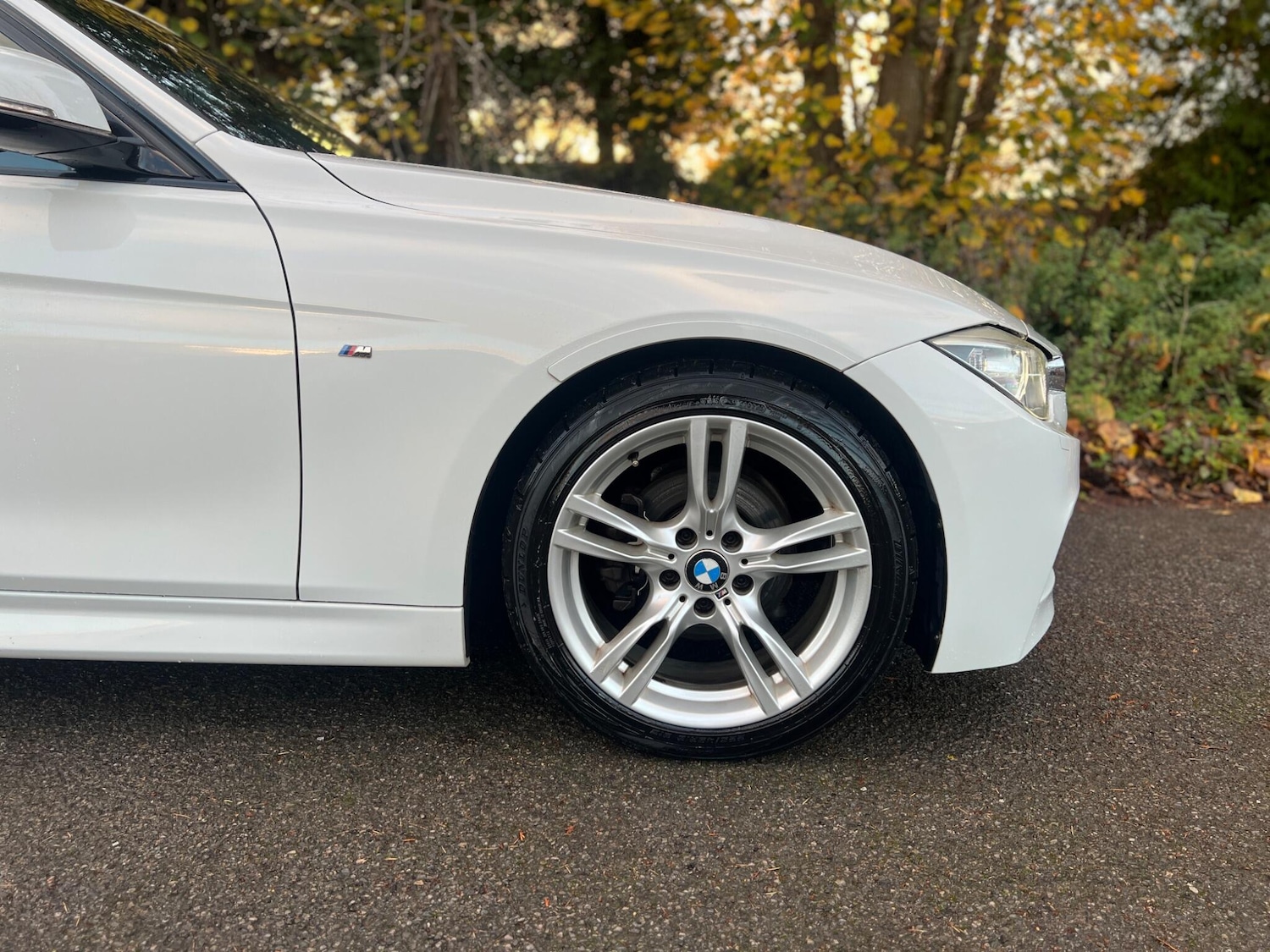 Used BMW 3 Series for sale - 77120143: Photo 43