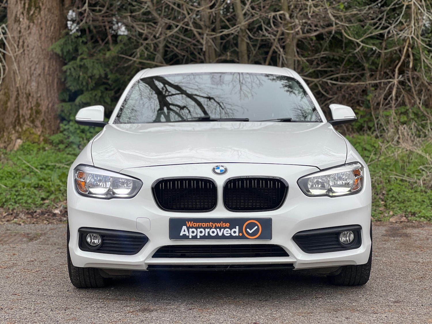 Used BMW 1 Series 2017 for sale - 78019343: Photo 9