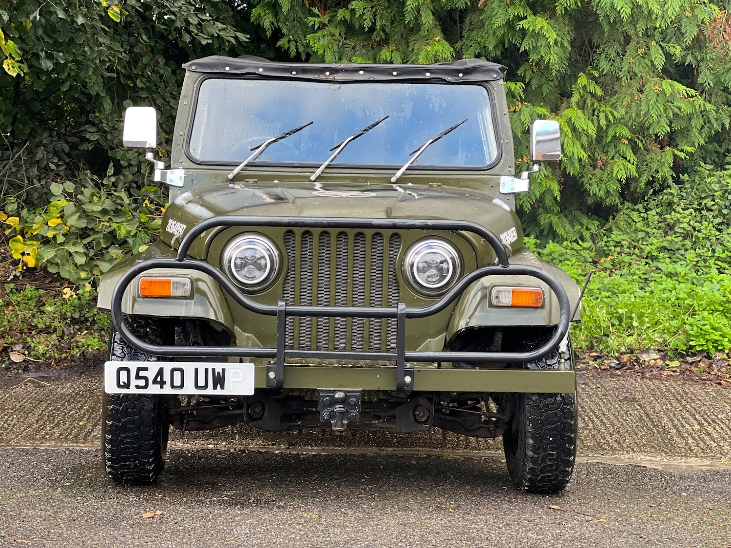 Used Jeep Willys for sale - 77331782: Photo 2