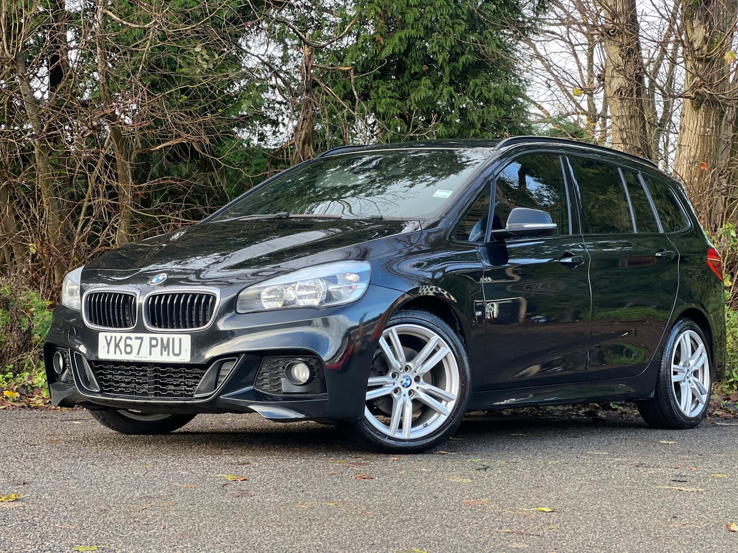 Used BMW 2 Series 2017 for sale - 77425242: Photo 11