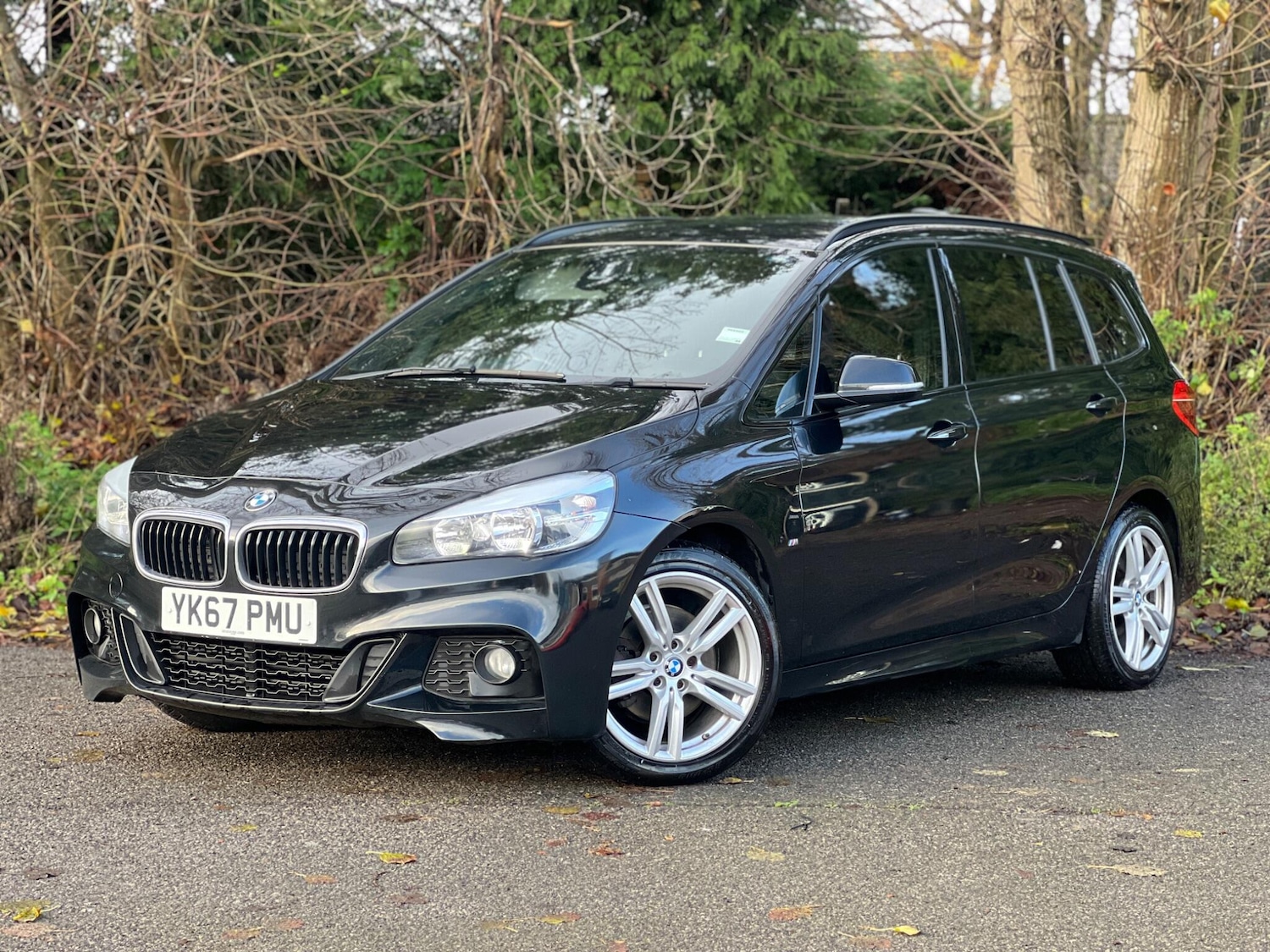 Used BMW 2 Series 2017 for sale - 77425242: Photo 12