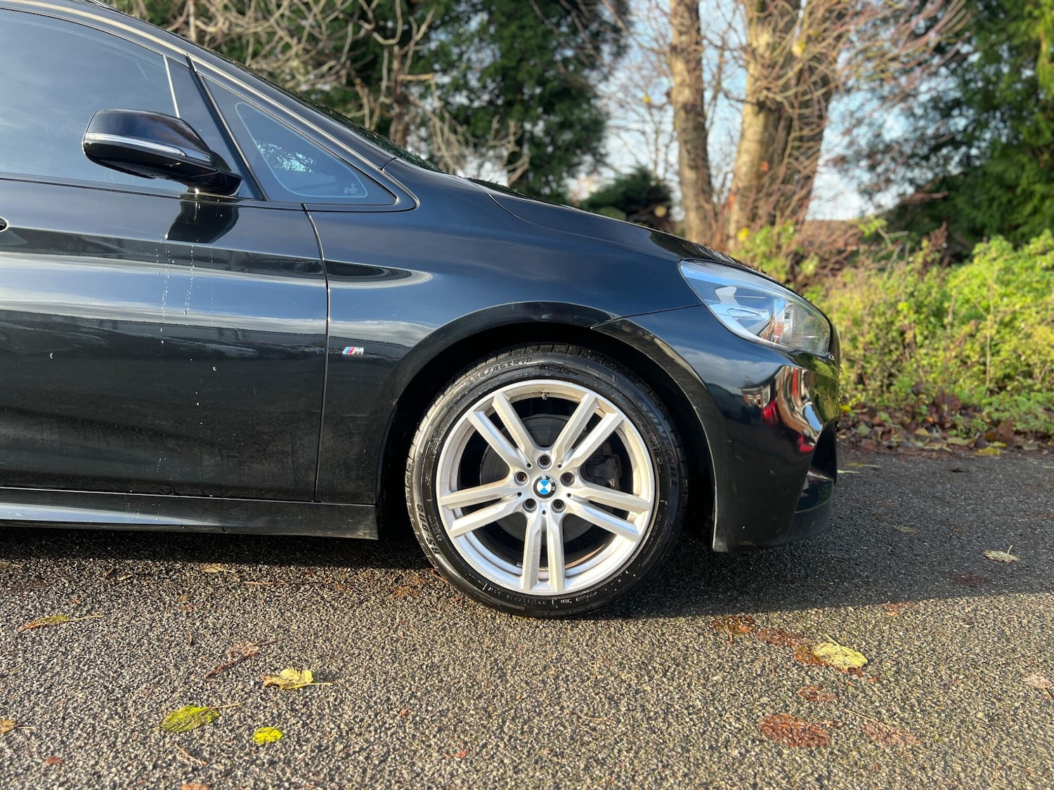 Used BMW 2 Series 2017 for sale - 77425242: Photo 46