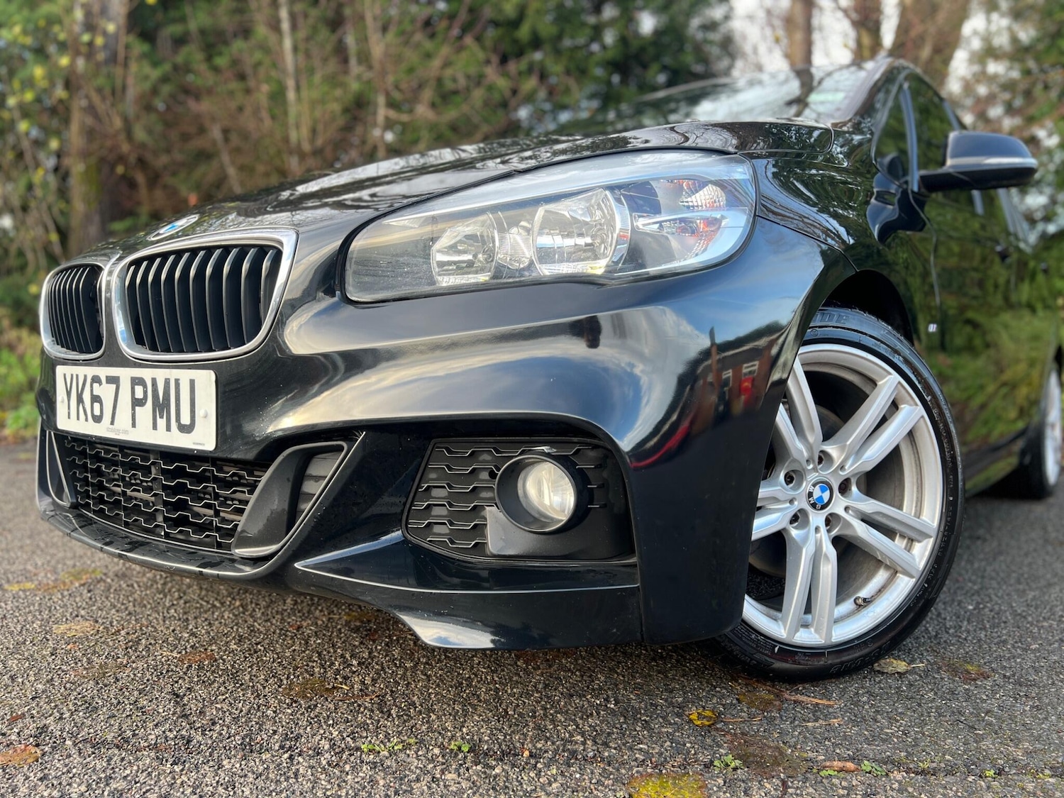 Used BMW 2 Series 2017 for sale - 77425242: Photo 55