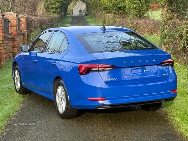 Used Skoda Octavia 2023 for sale - 76976993: Photo 5