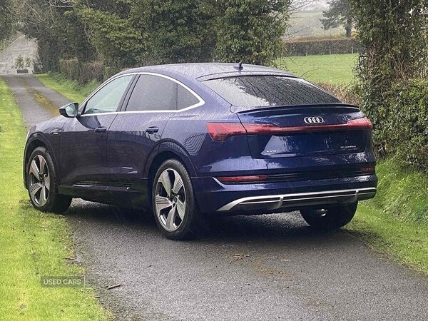 Used Audi e-tron 2022 for sale - 78101847: Photo 6