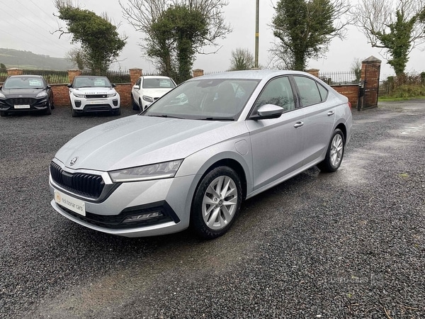 Used Skoda Octavia 2024 for sale - 77218030: Photo 7