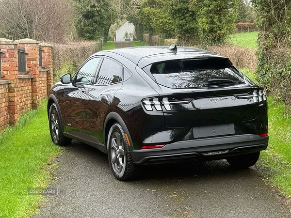 Used Ford Mustang Mach-E 2022 for sale - 77672252: Photo 5