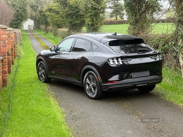 Used Ford Mustang Mach-E 2022 for sale - 77672252: Photo 6