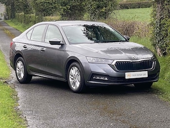 Used Skoda Octavia 2023 for sale - 79084342: Photo