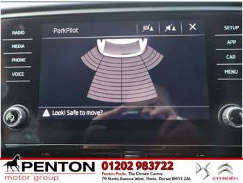 Used Skoda Octavia 2019 for sale - 74383011: Photo