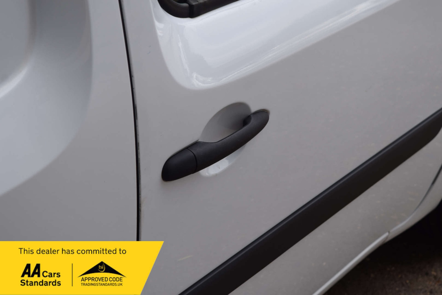 Used Nissan NV250 2020 for sale - 76600933: Photo 17