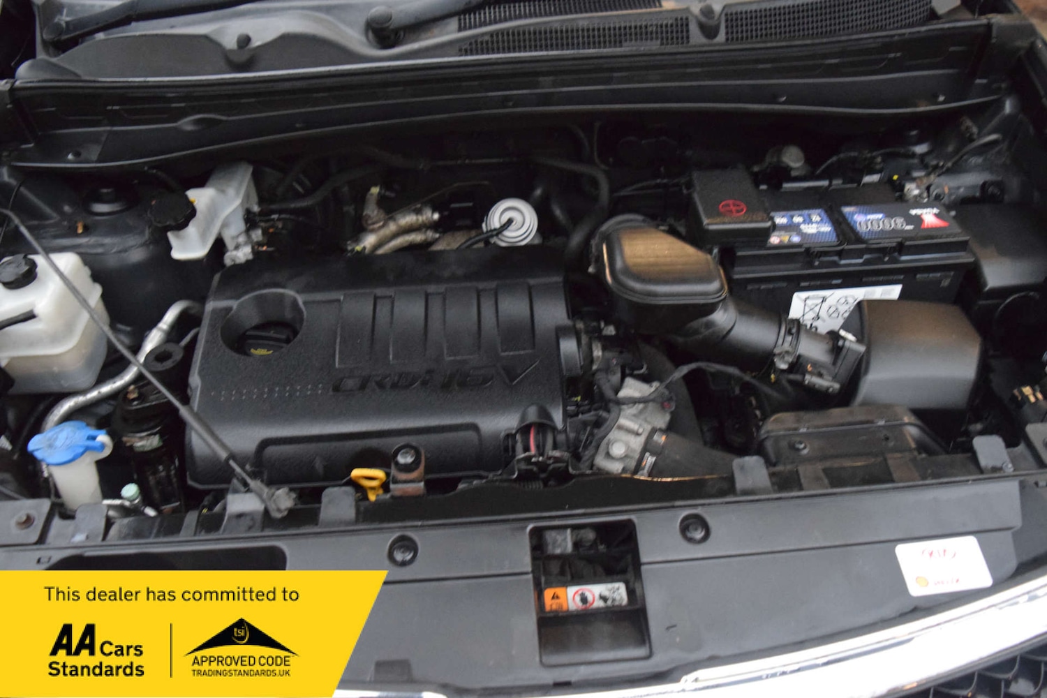 Used Kia Sportage 2014 for sale - 76767889: Photo 61