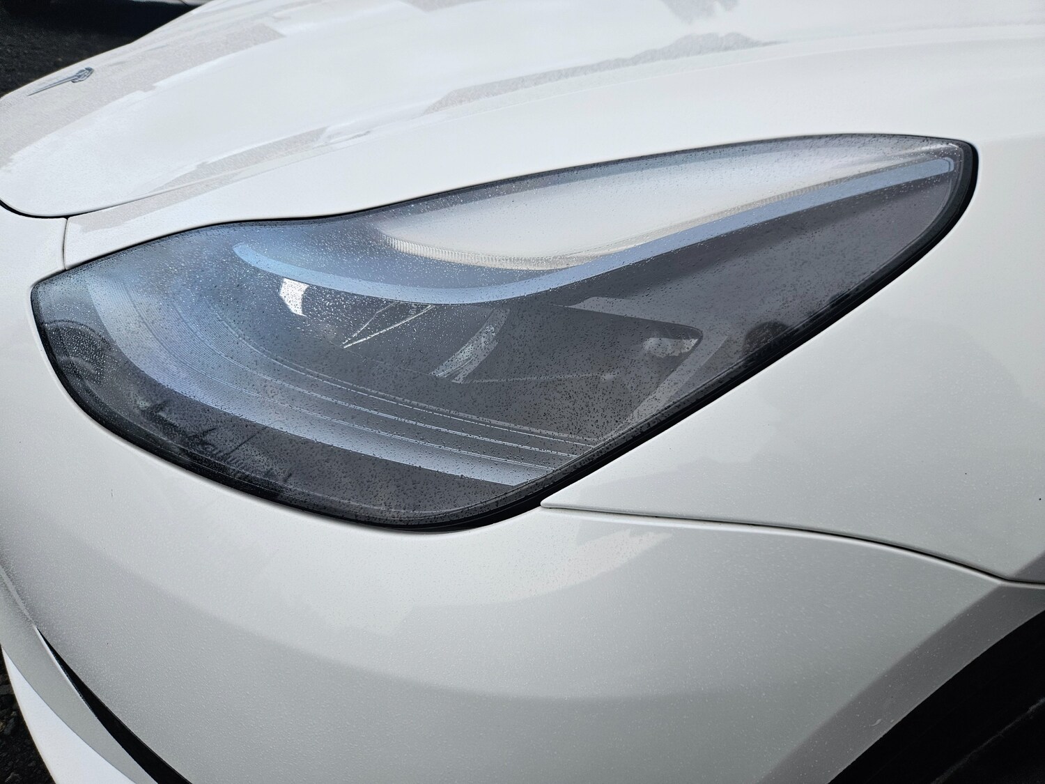 Used Tesla Model 3 2022 for sale - 77648247: Photo 25