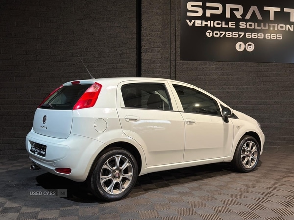 Used Fiat Punto 2017 for sale - 77412723: Photo 6