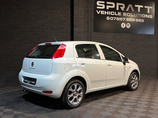 Used Fiat Punto 2017 for sale - 77412723: Photo 7