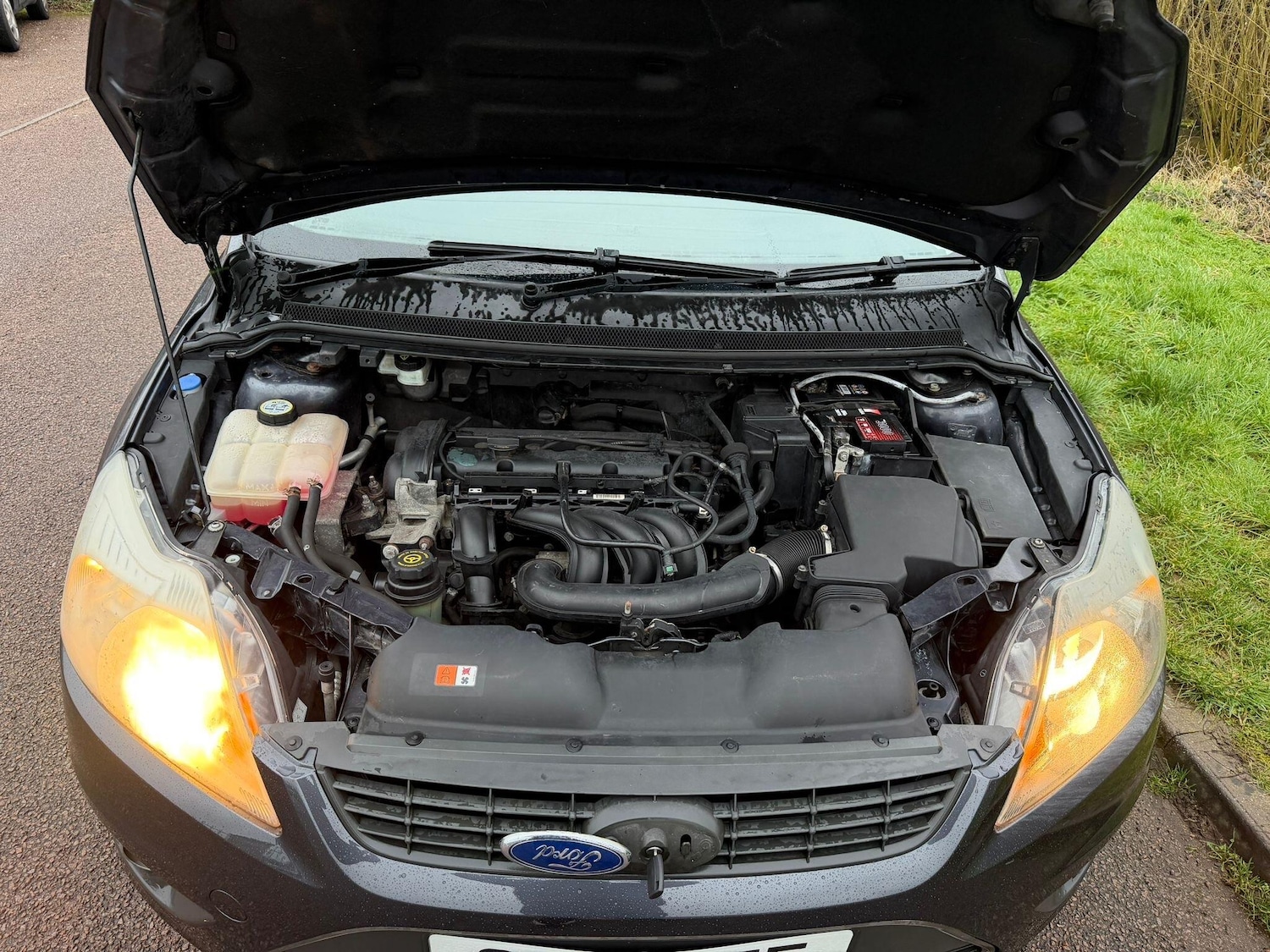 Used Ford Focus 2010 for sale - 77633021: Photo 20