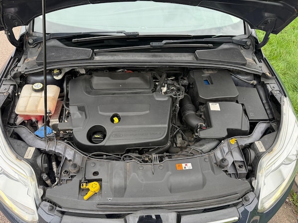 Used Ford Focus 2012 for sale - 76307758: Photo 15