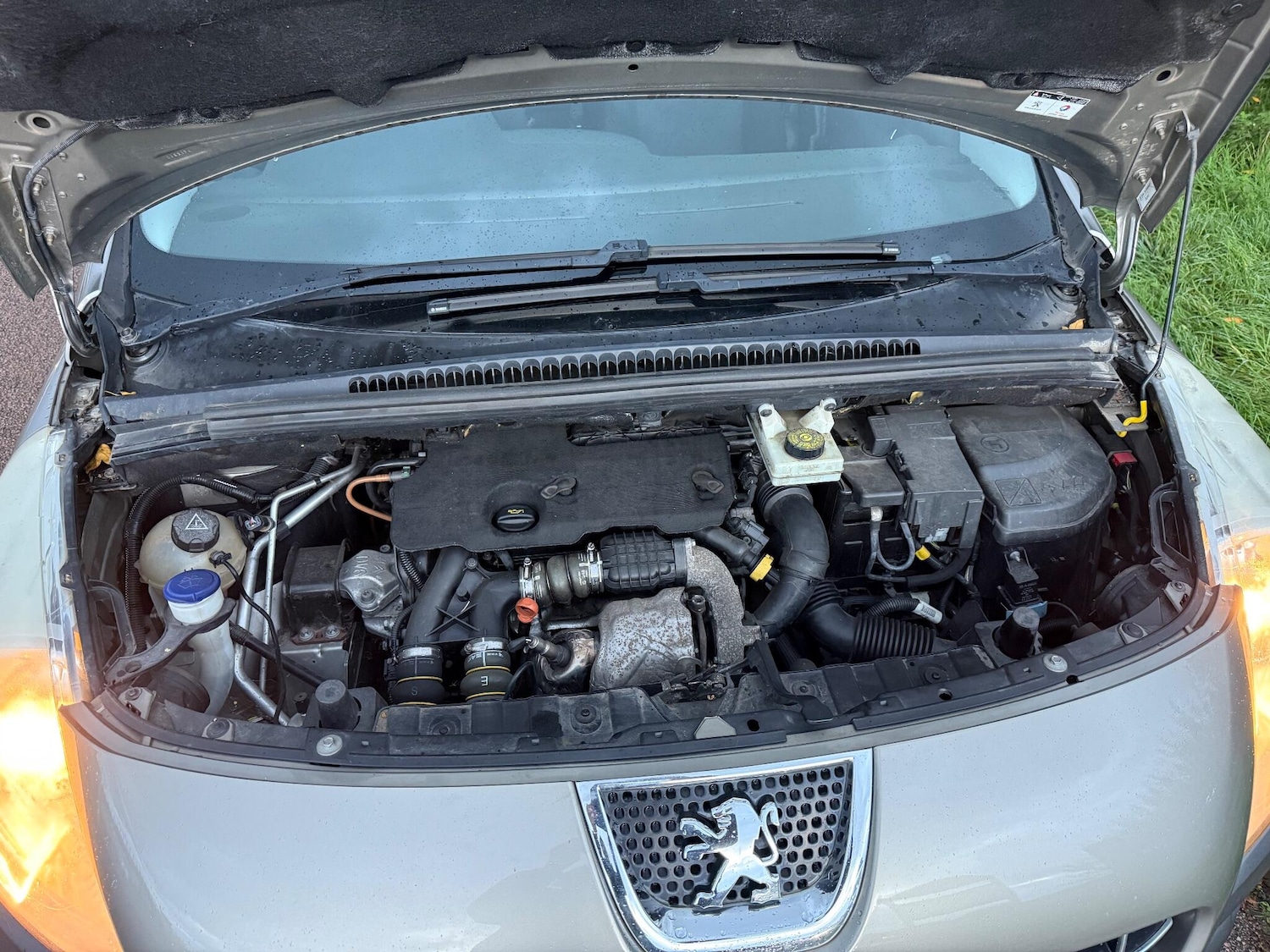 Used Peugeot 3008 2012 for sale - 76537866: Photo 15