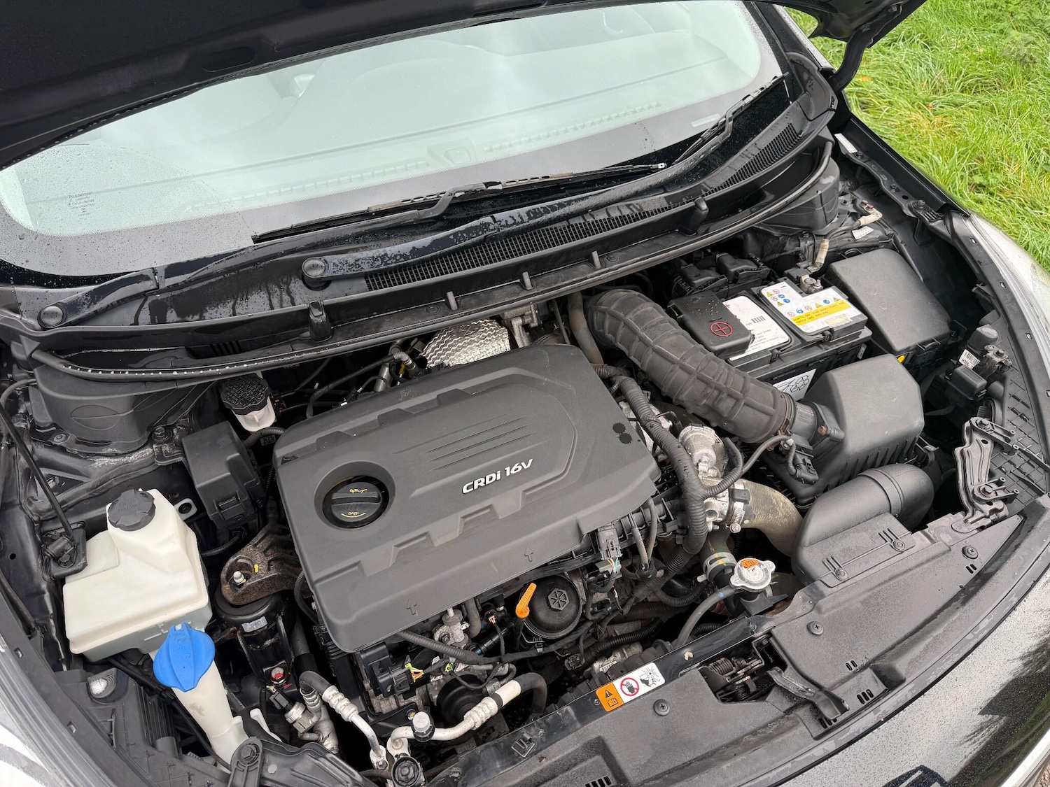 Used Hyundai i30 2016 for sale - 76512118: Photo 17