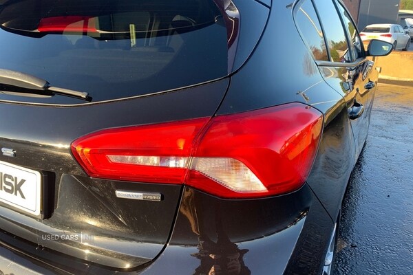 Used Ford Focus 2022 for sale - 77204685: Photo 10