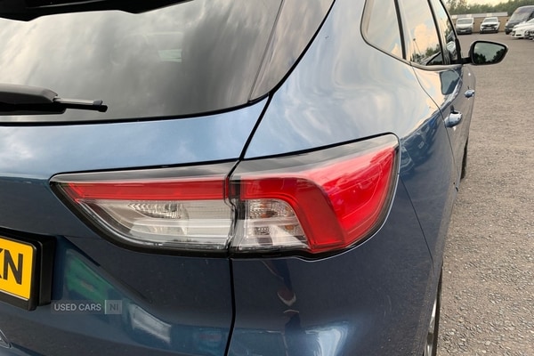Used Ford Kuga 2024 for sale - 75508831: Photo 10
