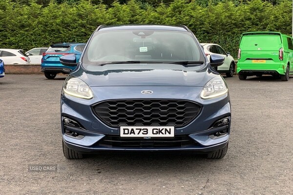 Used Ford Kuga 2024 for sale - 75508831: Photo 4