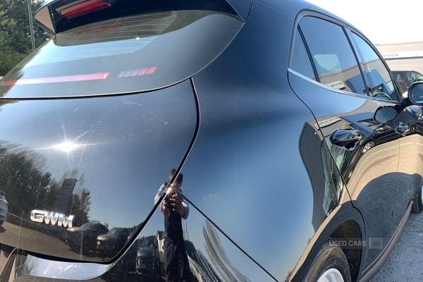 Used GWM ORA 03 2025 for sale - 77009077: Photo 10