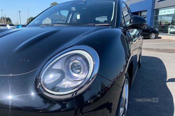 Used GWM ORA 03 2025 for sale - 77009077: Photo 7