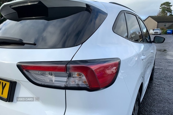 Used Ford Kuga 2024 for sale - 76634614: Photo 10