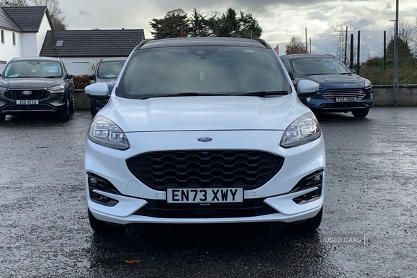 Used Ford Kuga 2024 for sale - 76634614: Photo 4