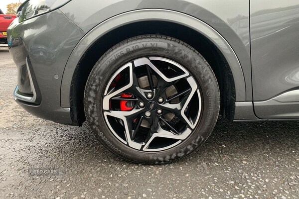 Used Ford Kuga 2025 for sale - 76248250: Photo 6