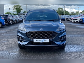 Used Ford Kuga 2023 for sale - 78574495: Photo