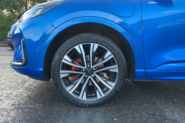 Used Ford Kuga 2025 for sale - 76513973: Photo 6