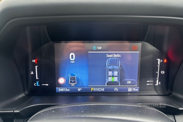 Used Ford Ranger 2025 for sale - 76998518: Photo 16