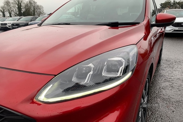 Used Ford Kuga 2022 for sale - 78102116: Photo 7