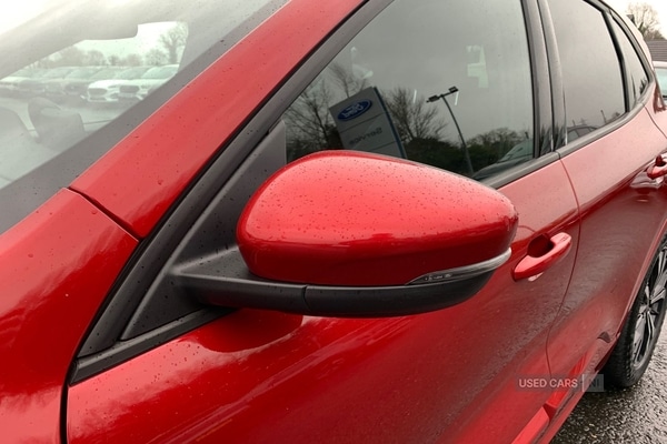 Used Ford Kuga 2022 for sale - 78102116: Photo 8