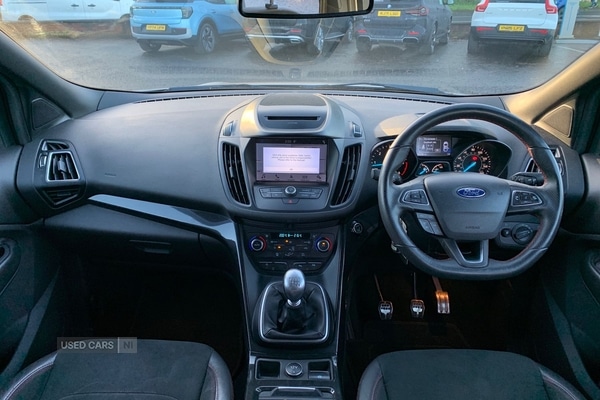 Used Ford Kuga 2019 for sale - 76936867: Photo 11