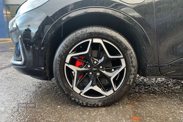 Used Ford Kuga 2025 for sale - 77132198: Photo 6