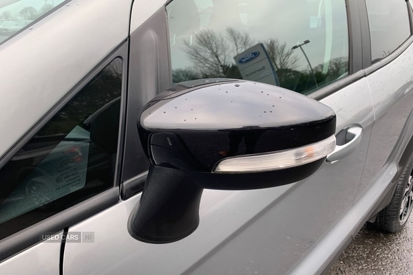 Used Ford Ecosport 2023 for sale - 77457045: Photo 8