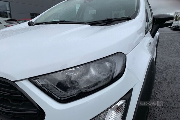 Used Ford Ecosport 2023 for sale - 77457044: Photo 7