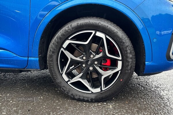 Used Ford Kuga 2025 for sale - 76139286: Photo 6